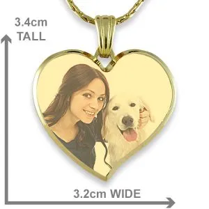 Gold Plate Deluxe Bevelled Curved Large Heart Colour Photo Pendant