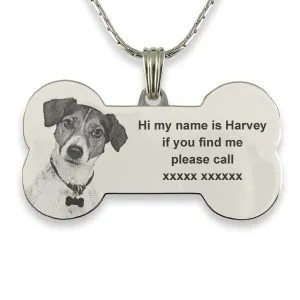 Engraved Dog Collar - Large Dog Tag
