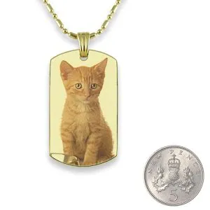 5p Scale Gold Plate Small DogTag Colour Photo Pendant